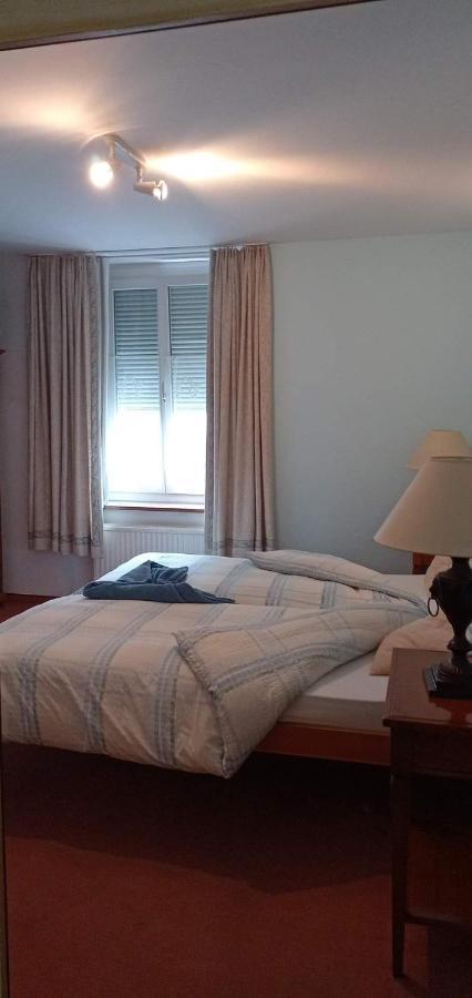 Garni Fluela Susch Hotel Ngoại thất bức ảnh